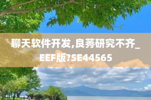 聊天软件开发,良莠研究不齐_EEF版?SE44565