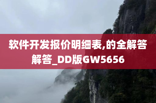 软件开发报价明细表,的全解答解答_DD版GW5656