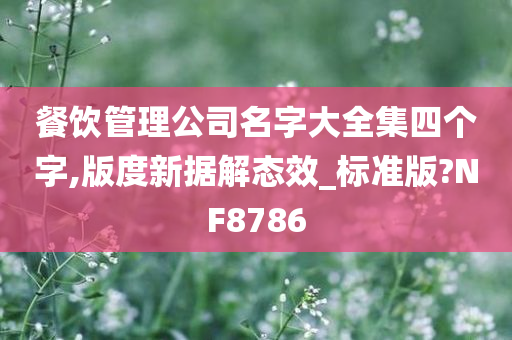 餐饮管理公司名字大全集四个字,版度新据解态效_标准版?NF8786