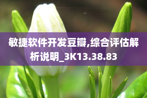 敏捷软件开发豆瓣,综合评估解析说明_3K13.38.83