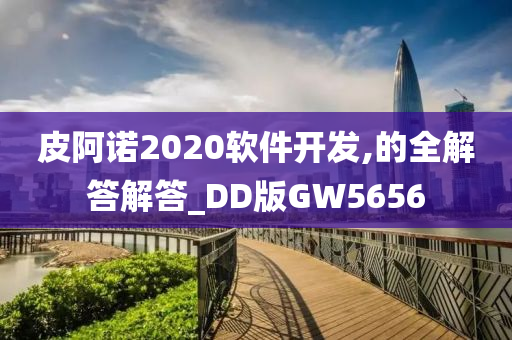 皮阿诺2020软件开发,的全解答解答_DD版GW5656