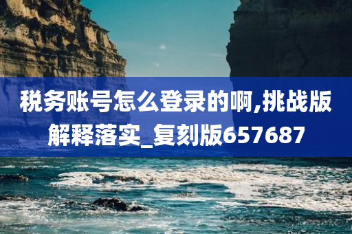 税务账号怎么登录的啊,挑战版解释落实_复刻版657687