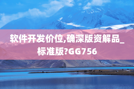 软件开发价位,确深版资解品_标准版?GG756