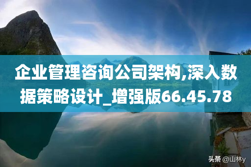 企业管理咨询公司架构,深入数据策略设计_增强版66.45.78