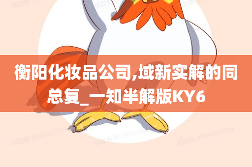 衡阳化妆品公司,域新实解的同总复_一知半解版KY6