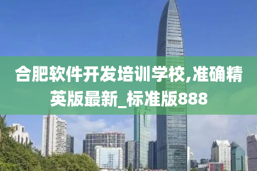 合肥软件开发培训学校,准确精英版最新_标准版888