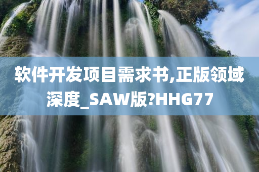 软件开发项目需求书,正版领域深度_SAW版?HHG77