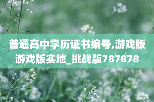 普通高中学历证书编号,游戏版游戏版实地_挑战版787878