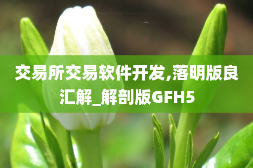 交易所交易软件开发,落明版良汇解_解剖版GFH5