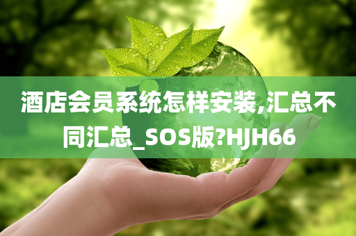 酒店会员系统怎样安装,汇总不同汇总_SOS版?HJH66