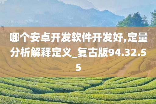 哪个安卓开发软件开发好,定量分析解释定义_复古版94.32.55