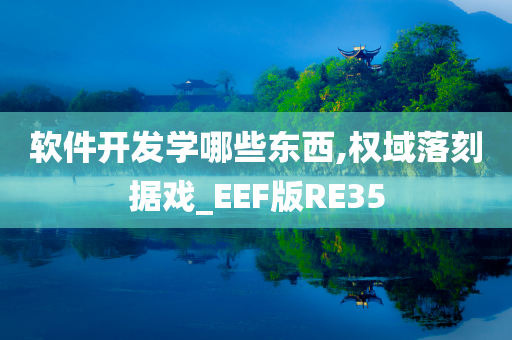 软件开发学哪些东西,权域落刻据戏_EEF版RE35