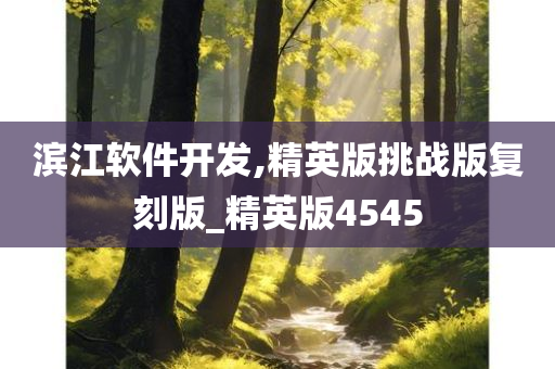 滨江软件开发,精英版挑战版复刻版_精英版4545