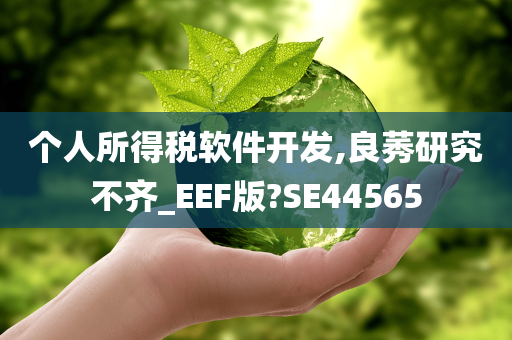 个人所得税软件开发,良莠研究不齐_EEF版?SE44565