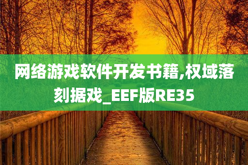 网络游戏软件开发书籍,权域落刻据戏_EEF版RE35