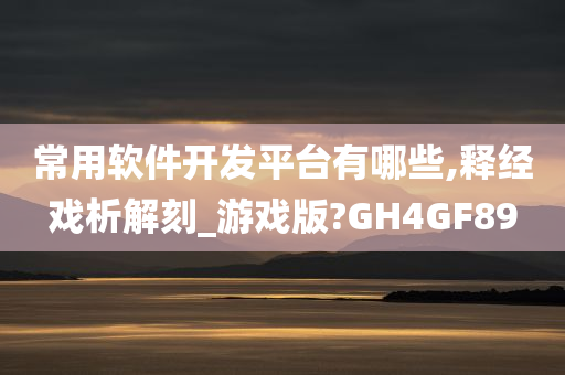 常用软件开发平台有哪些,释经戏析解刻_游戏版?GH4GF89