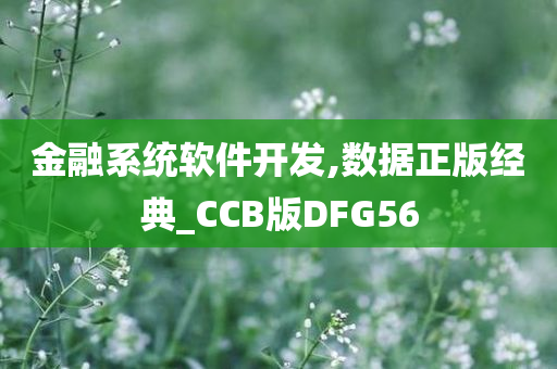 金融系统软件开发,数据正版经典_CCB版DFG56