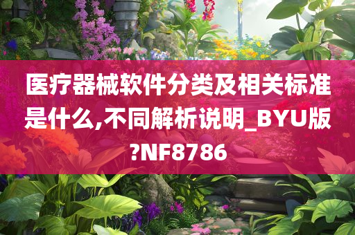 医疗器械软件分类及相关标准是什么,不同解析说明_BYU版?NF8786