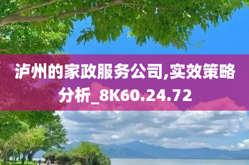 泸州的家政服务公司,实效策略分析_8K60.24.72