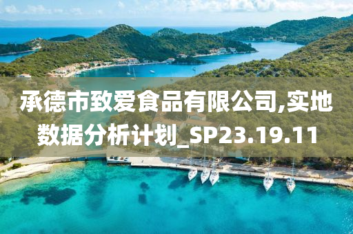 承德市致爱食品有限公司,实地数据分析计划_SP23.19.11