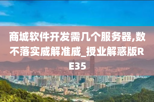 商城软件开发需几个服务器,数不落实威解准威_授业解惑版RE35