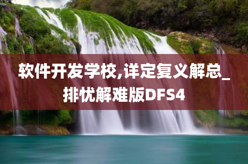 软件开发学校,详定复义解总_排忧解难版DFS4