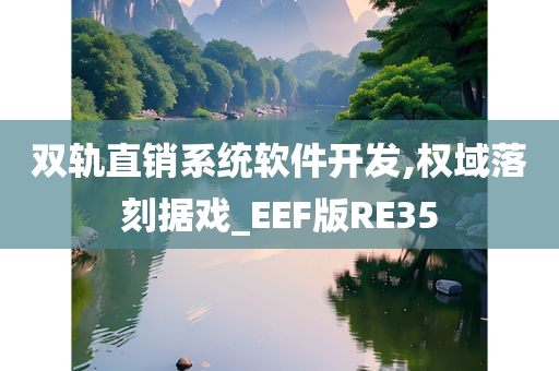 双轨直销系统软件开发,权域落刻据戏_EEF版RE35