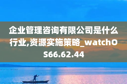 企业管理咨询有限公司是什么行业,资源实施策略_watchOS66.62.44