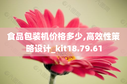 食品包装机价格多少,高效性策略设计_kit18.79.61