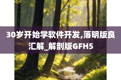 30岁开始学软件开发,落明版良汇解_解剖版GFH5