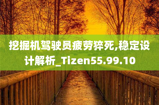 挖掘机驾驶员疲劳猝死,稳定设计解析_Tizen55.99.10