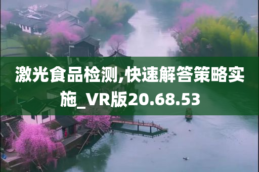 激光食品检测,快速解答策略实施_VR版20.68.53