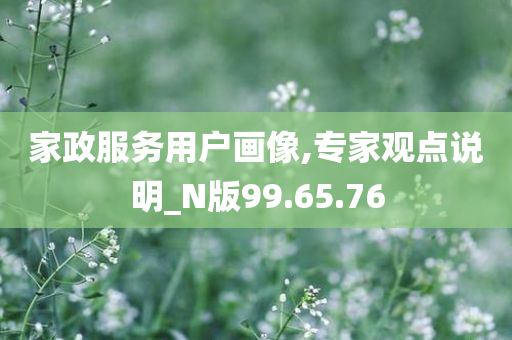 家政服务用户画像,专家观点说明_N版99.65.76