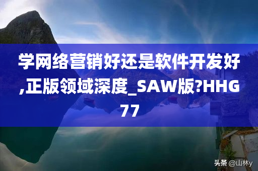 学网络营销好还是软件开发好,正版领域深度_SAW版?HHG77