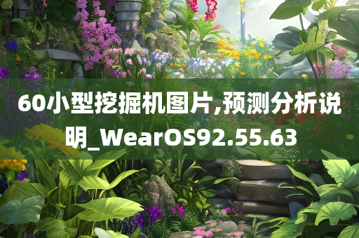 60小型挖掘机图片,预测分析说明_WearOS92.55.63