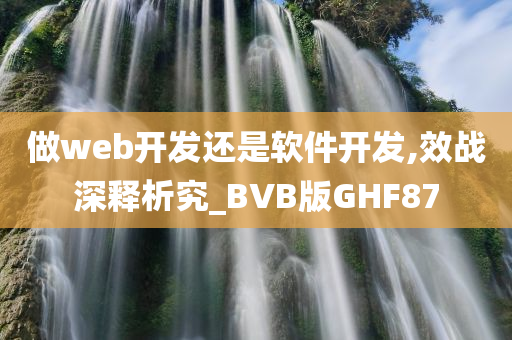 做web开发还是软件开发,效战深释析究_BVB版GHF87