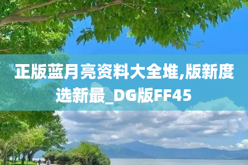 正版蓝月亮资料大全堆,版新度选新最_DG版FF45