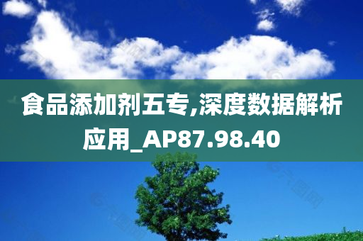 食品添加剂五专,深度数据解析应用_AP87.98.40