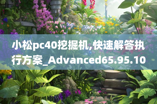 小松pc40挖掘机,快速解答执行方案_Advanced65.95.10