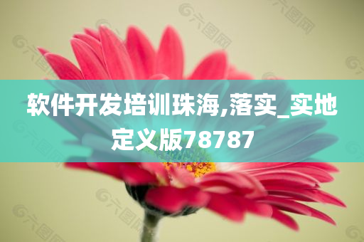 软件开发培训珠海,落实_实地定义版78787