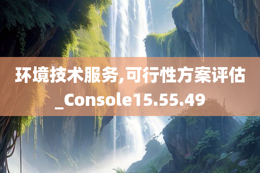 环境技术服务,可行性方案评估_Console15.55.49