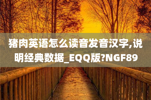 猪肉英语怎么读音发音汉字,说明经典数据_EQQ版?NGF89