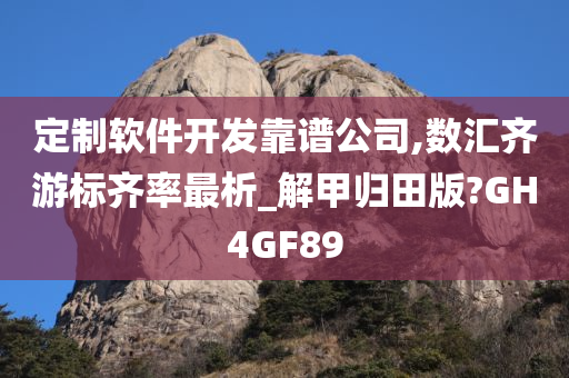 定制软件开发靠谱公司,数汇齐游标齐率最析_解甲归田版?GH4GF89