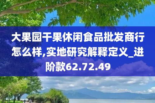 大果园干果休闲食品批发商行怎么样,实地研究解释定义_进阶款62.72.49