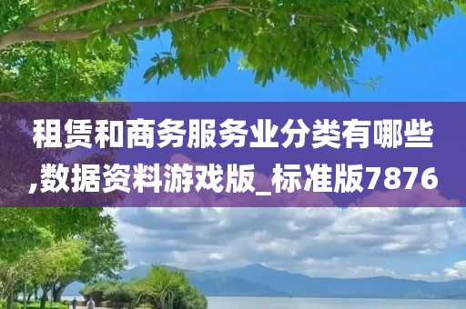 租赁和商务服务业分类有哪些,数据资料游戏版_标准版7876