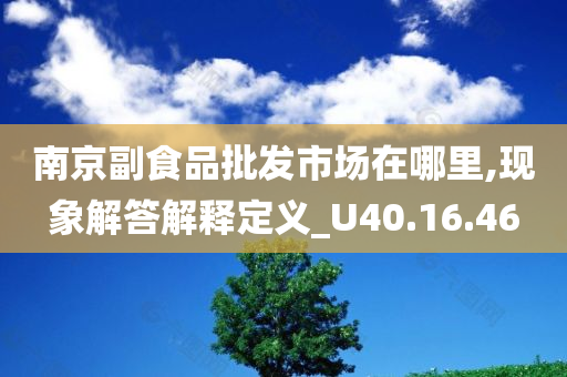 南京副食品批发市场在哪里,现象解答解释定义_U40.16.46