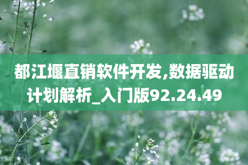 都江堰直销软件开发,数据驱动计划解析_入门版92.24.49