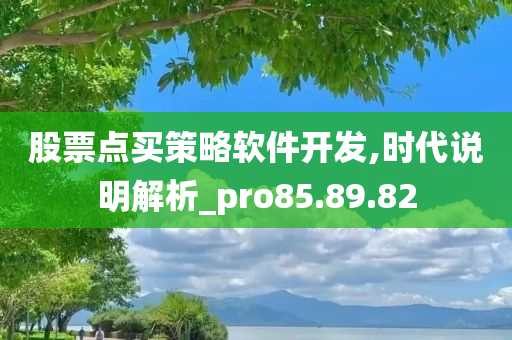 股票点买策略软件开发,时代说明解析_pro85.89.82