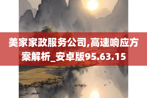 美家家政服务公司,高速响应方案解析_安卓版95.63.15