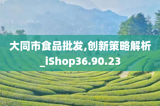 大同市食品批发,创新策略解析_iShop36.90.23